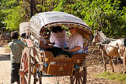 horse cart