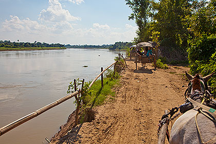 horse carting along canal