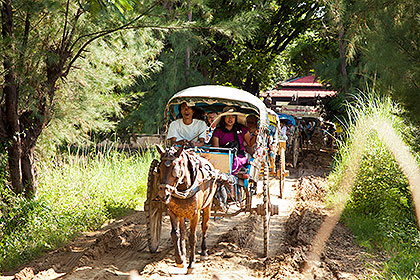 oncoming horse cart