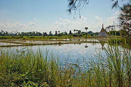 pond