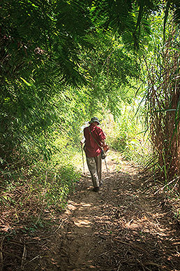 walking path