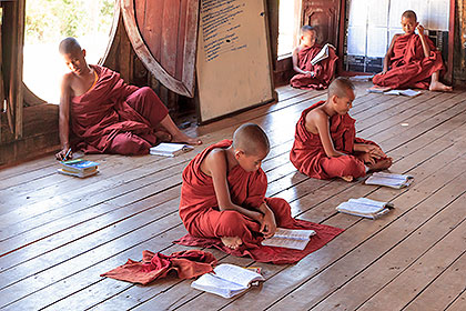 novices