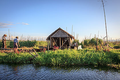 floating gardens