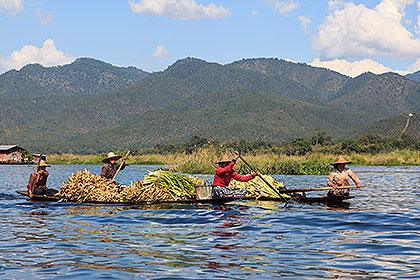 women in 2 canoes