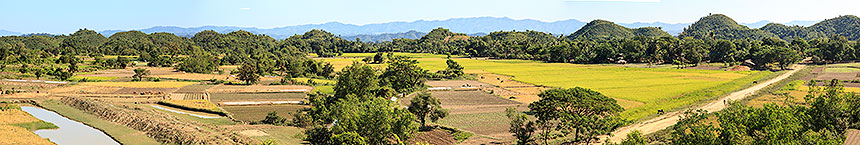 fields