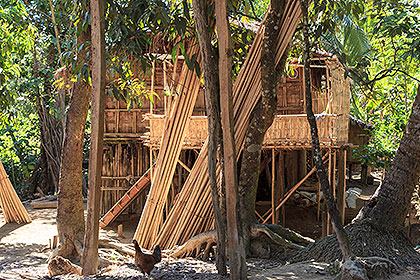 pole house