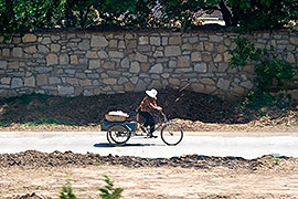Tricycle