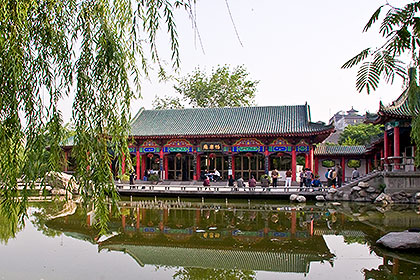 Pond