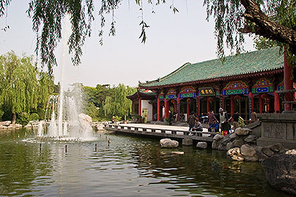 Pond