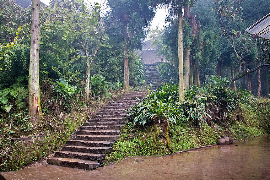 Stone stairway