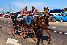 horsedrawn carriage