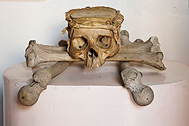 scull and bones