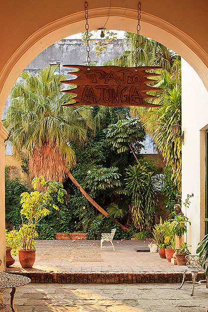 garden