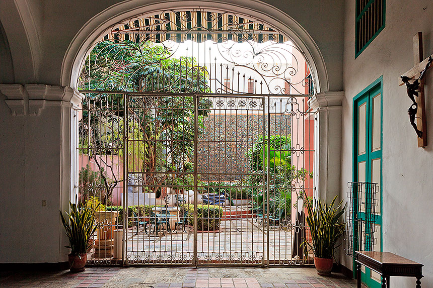 garden