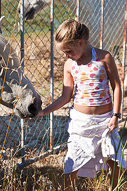 Child with horse